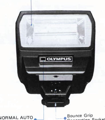Olympus Flash 310