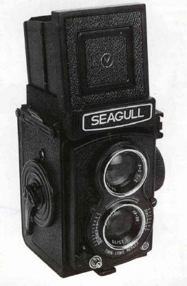 Seagull camera