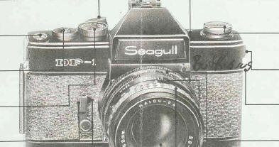 Seagull DF-1 camera