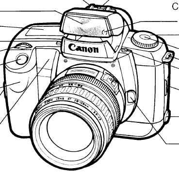 Canon EOS 5 / 5QD instruction manual, user manual, PDF manual, free manuals