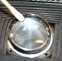 35mm Lens fungus removal